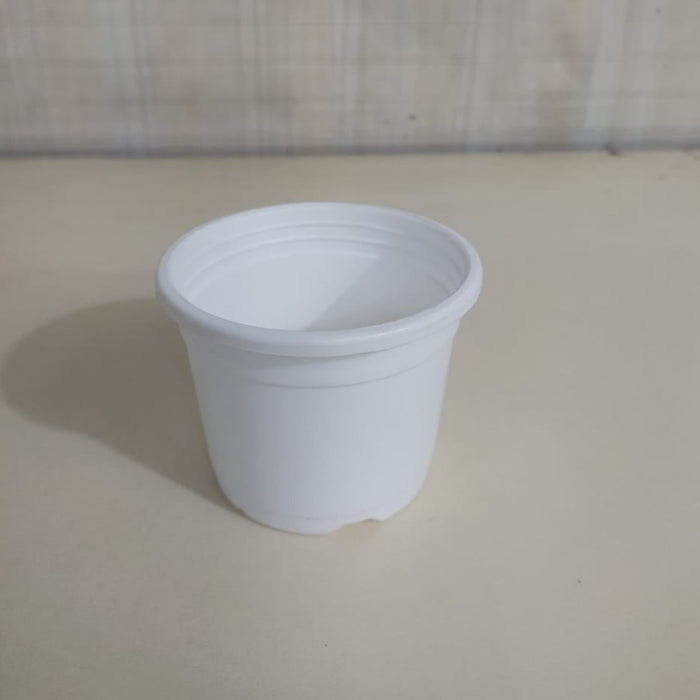 3" Sunrise Pot White (8.5 cm)