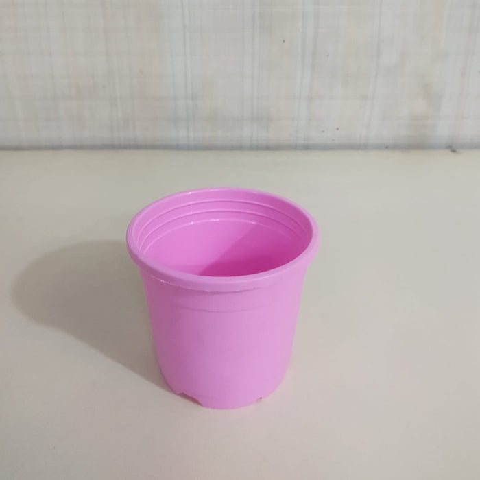 4" Flower Pot Baby Pink Colour Sunrise Series (10 cm)