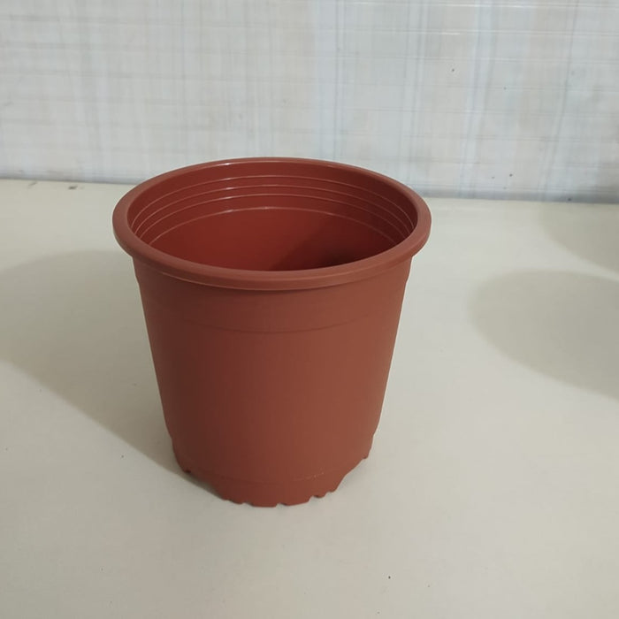 6" Flower Pot Terracotta Colour Sunrise Series (14.5 cm)
