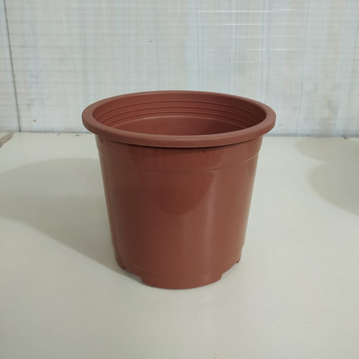 8" Flower Pot  Terracotta Colour Sunrise Series (19.5 cm)