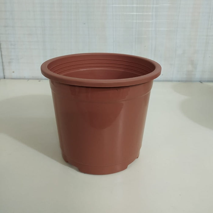 8" Flower Pot  Terracotta Colour Sunrise Series (19.5 cm)