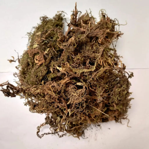 5 Kg Sphagnum Moss Online in India