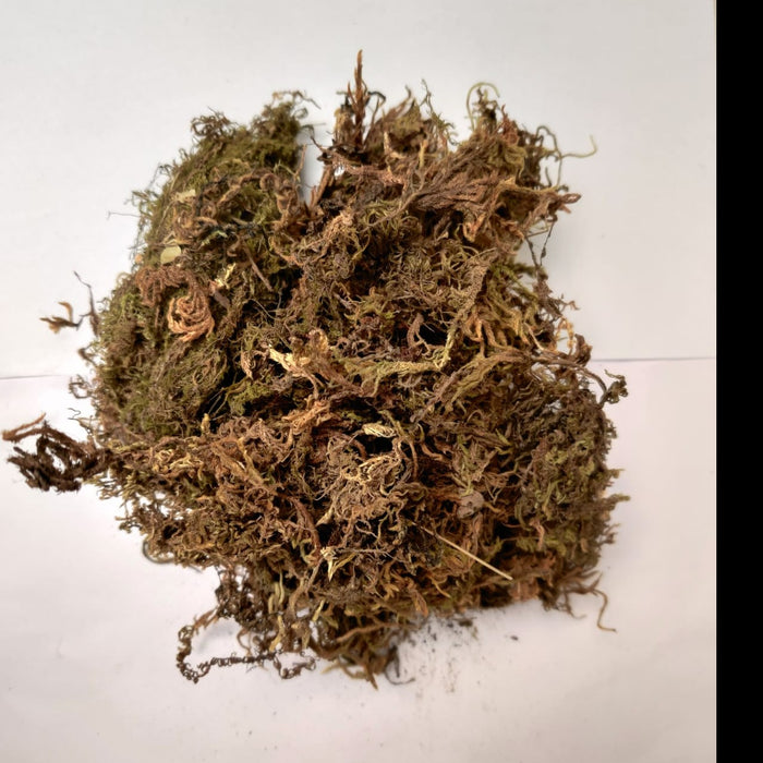 10 Kg Sphagnum Moss