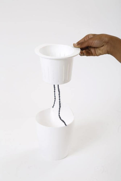 White-White Self Watering Hanging Planter Flower Pot - CGASPL