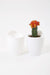 White-White Self Watering Hanging Planter Flower Pot - CGASPL