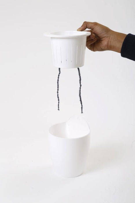 White-White Self Watering Hanging Planter Flower Pot - CGASPL