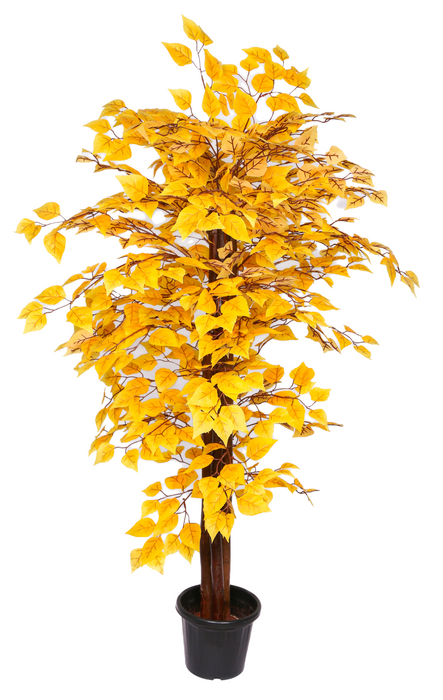 Artificial Yellow Birch Plant - 5 Feet - CGASPL