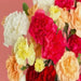 Carnation Lilliput Mix  Flower Seeds - CGASPL