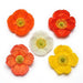 Poppy (Papaver) Champagne Bubbles Mix Flower Seeds - CGASPL