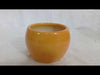 Ceramic Pot for Office Desk