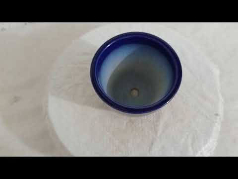 Blue Ceramic Pot for Indoor Plants