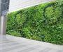 Mix Dry & Green Leaves Shrubs Tiles for Vertical Garden 1mtr x 1mtr (10.76 Sq.ft) - ChhajedGarden.com
