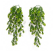 Artificial 9120 Moss leaf Hanging Creeper 72 cm -Pack of 12 - CGASPL