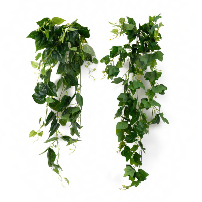 Artificial 3965 B Real Touch Big Leaves Hanging Creeper 88 cm-Pack of 6 - CGASPL