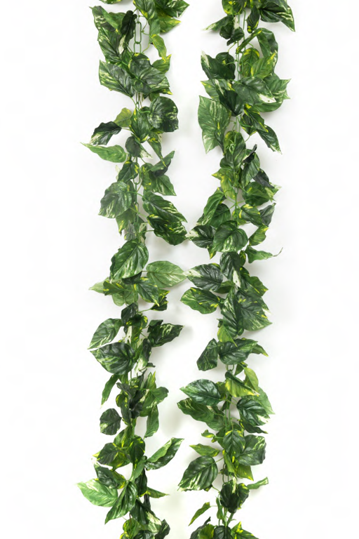 Artificial 8105 2.7m Big Leaves Garland (Money Plant) 9 ft-Pack of 5 - CGASPL