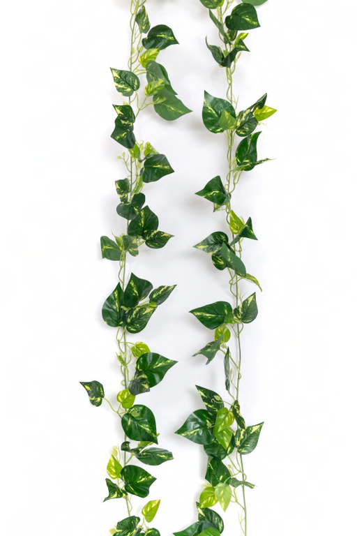 artificial money plant leaves Artificial 9080 Real Touch Money Plant Leaves Garland 6.5 ft-Pack of 1 – ChhajedGarden.com