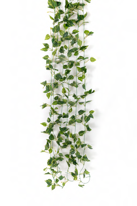 Artificial 3653 GG Real Touch Mini Money Plant Leaves Garland 6.5 ft-Pack of 24 - CGASPL