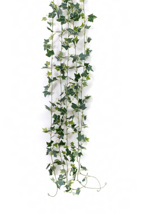 Artificial 3653 EE Real Touch Mini Ivy Leaves Garland 6.5 ft-Pack of 24 - CGASPL