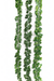 Artificial 3964 A Tiny Curling Leaves Garland 6.5 ft-Pack of 36 - CGASPL