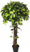 Artificial Ficus Topiary Plant in Coffee wood - 3 feet - CGASPL