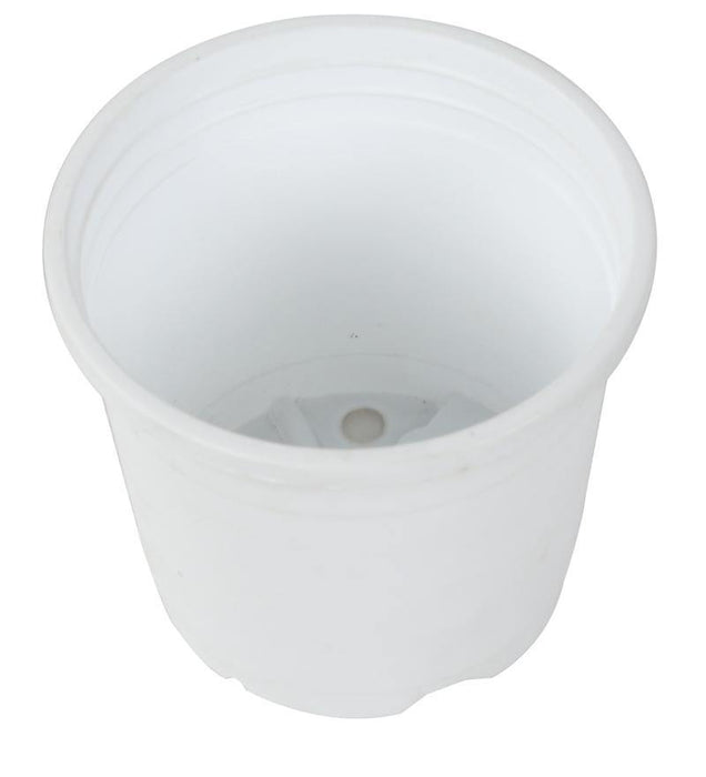 Sunrise Pot 10 cm (4") White ( Pack of 12) - CGASPL