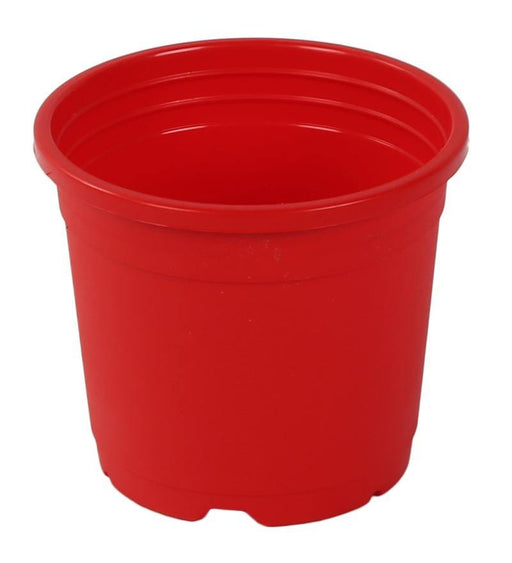 Sunrise Pot 10 cm (4") Red ( Pack of 12) 