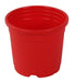 Sunrise Pot 10 cm (4") Red ( Pack of 12) 