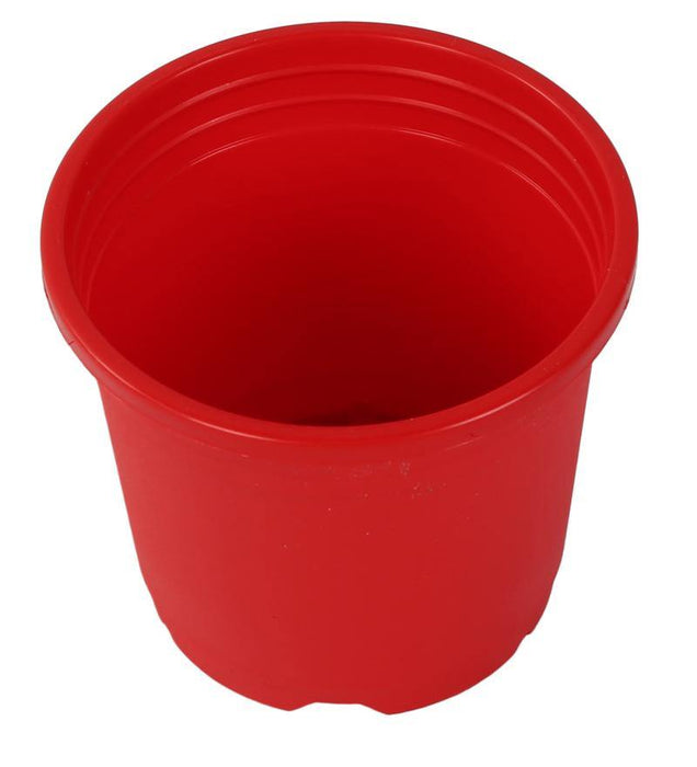 Sunrise Pot 10 cm (4") Red ( Pack of 12) - CGASPL