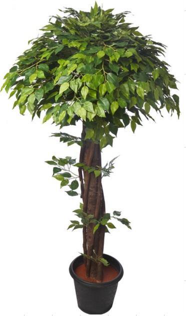 Artificial Mini Ficus Topiary Plant D Green - 3 feet – ChhajedGarden.com