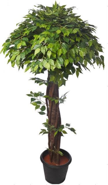 Artificial Mini Ficus Topiary Plant D Green	