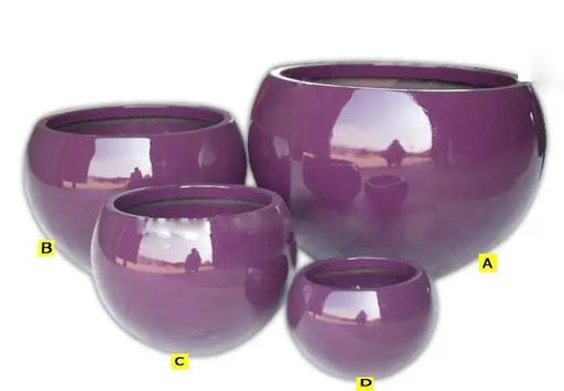 Shiny Violet Pots
