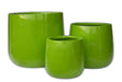Shiny Green Pots