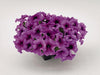 Petunia Success 360Â° Purple Vein Flower Seeds