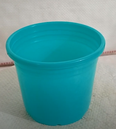 Sunrise Pot 10 cm (4") Turq ( Pack of 12) - ChhajedGarden.com