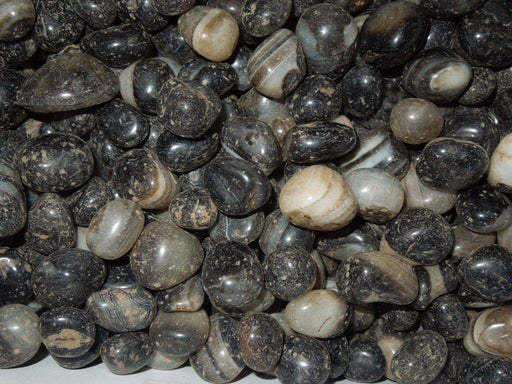 Pebbles  Onex Black - CGASPL