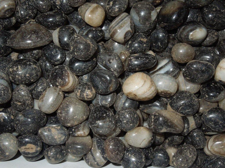 Pebbles  Onex Black - CGASPL