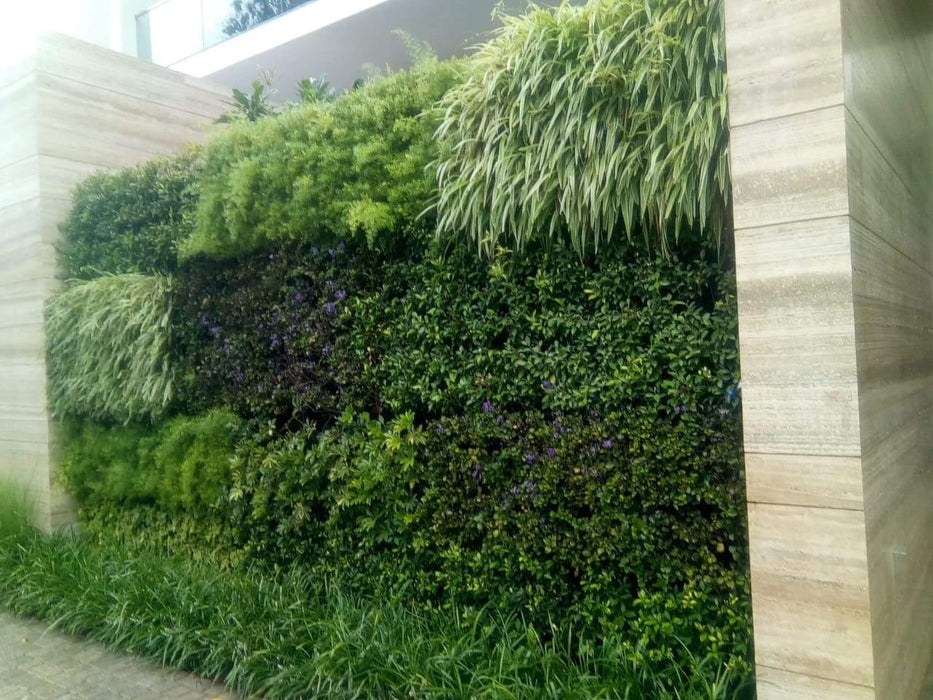 Verticell Vertical Garden Wall Hanging Pot Green Color - CGASPL