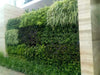 Vertical Garden, Wall Garden Panel Green (1 Frame + 3 Pots) - CGASPL