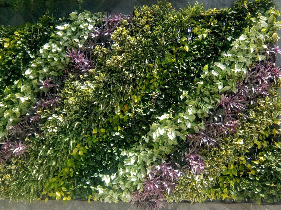 Vertical Garden, Wall Garden Panel Green (1 Frame + 3 Pots) - CGASPL