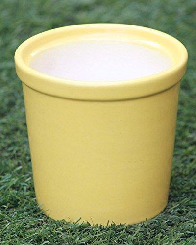 Premium ceramic plant pot in shiny yellow color