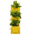 Yellow Colour Vertical Wall Garden Panel Set (Pack of 10 Per Set)